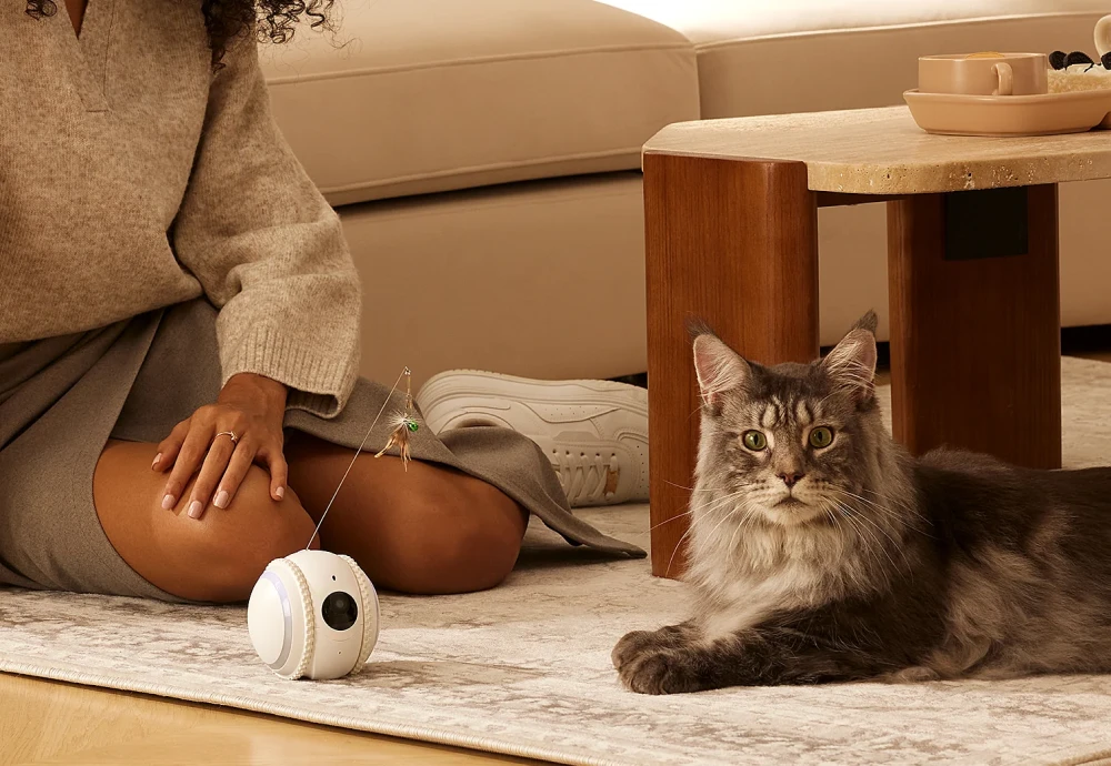 best in home pet camera