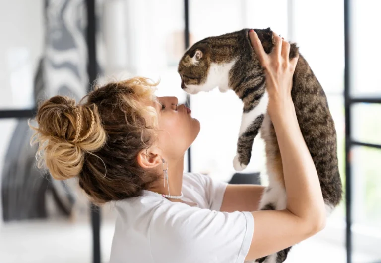 cameras to watch pets