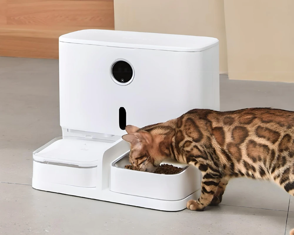 pet automatic feeder