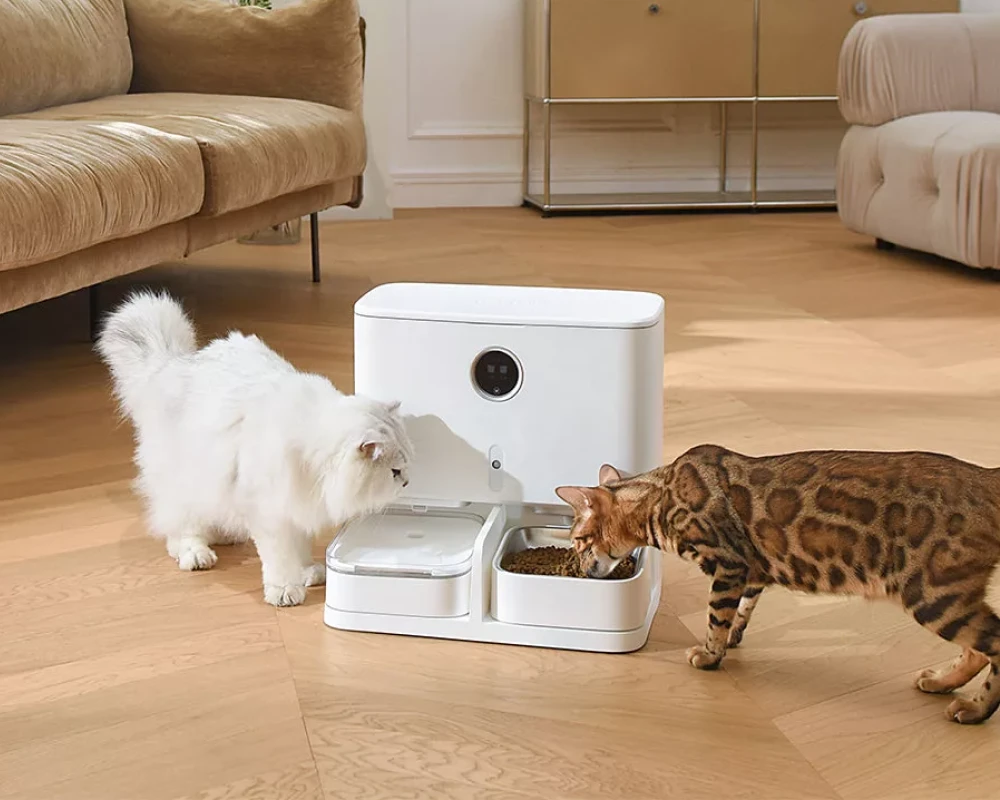 top pets automatic feeder