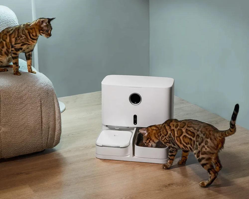 top pets automatic feeder