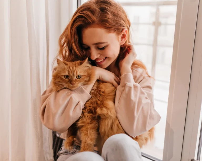 pets automatic feeder