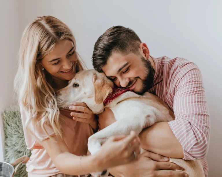 programmable automatic pet feeder
